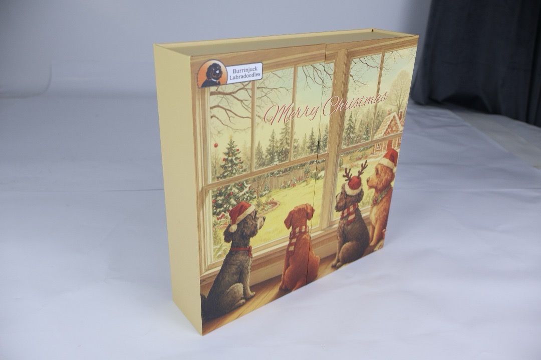 Burrinjuck Christmas advent calendar