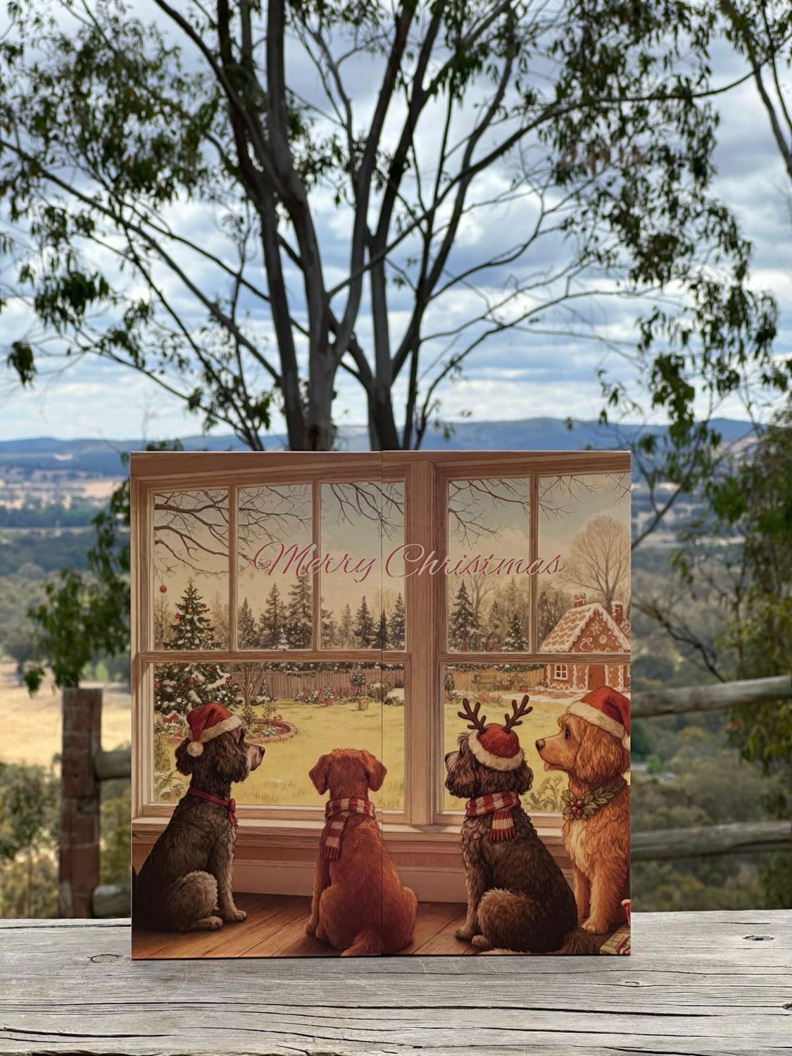 Burrinjuck Christmas advent calendar