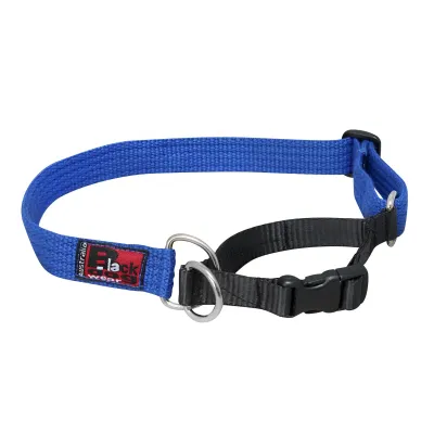 BlackDog Training Collar BLUE SM