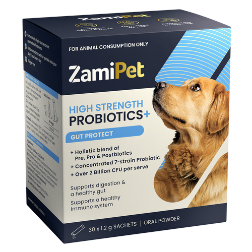 ZamiPet High Strength Probiotics + Gut Protect 30 x 1.2g sachets