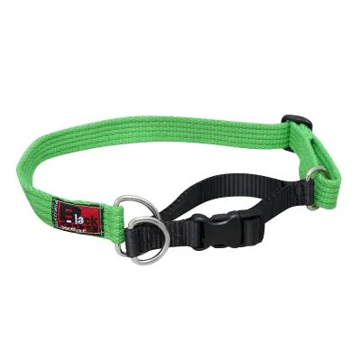 BlackDog Training Collar GREEN SM