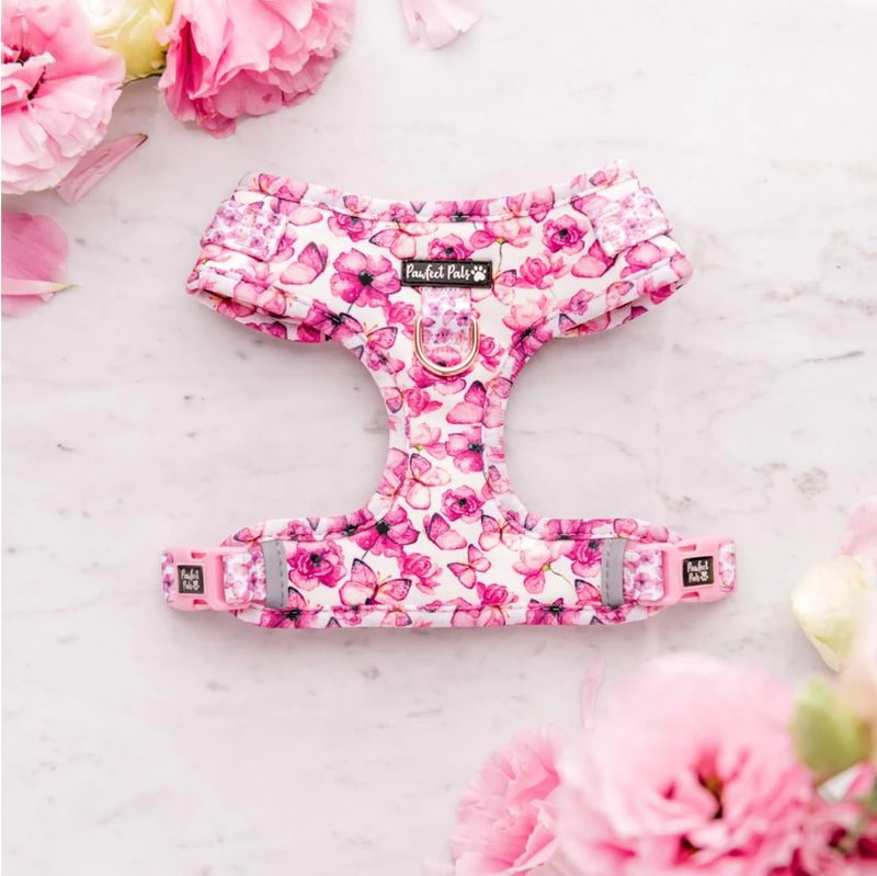 You Give Me Butterflies - No-Pull Adjustable Harness - MED