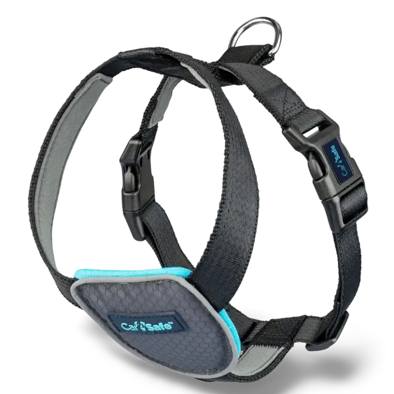 Car safe, Dog Travel Harness Black X-small
