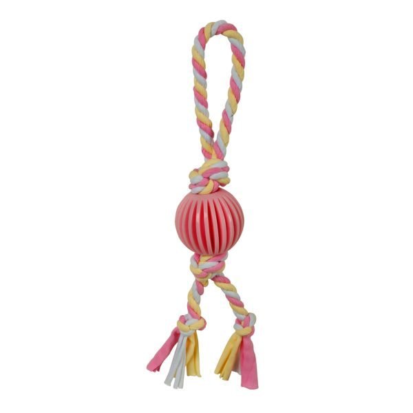 Puppy’s 1st – Pink Ball with Rope