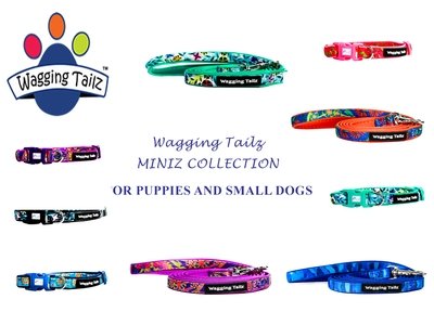 Miniz Collar and Lead Sets for Puppies
