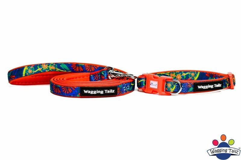 Wagging Tailz Poppy Orange Collar and Lead Set