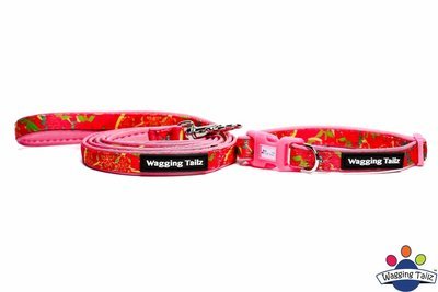 Wagging Tailz Poppy - Pink Collar and Lead Set