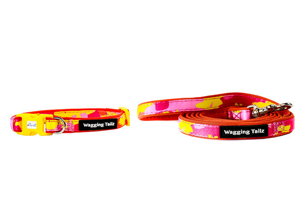 Wagging Tailz, Orange Cameo Collar and Lead Set