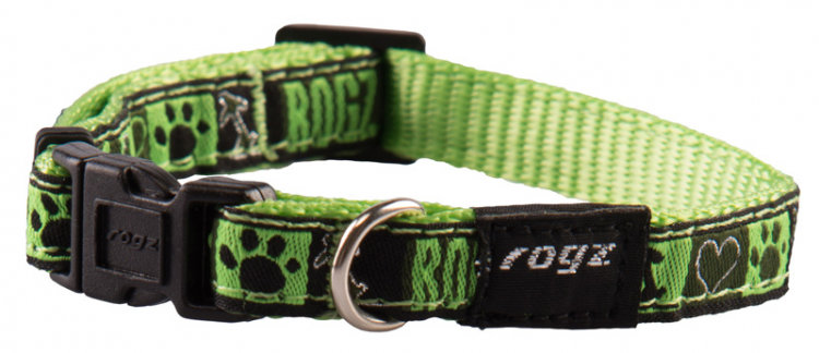 dog collar fancy dress