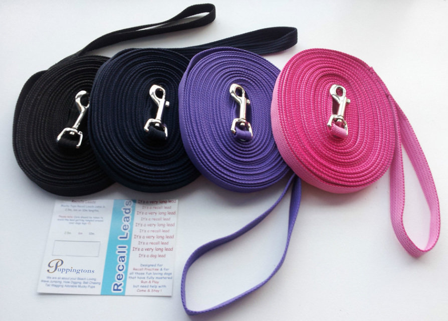 Long Leads for Training and Recall. (10 metres) PINK 19mm