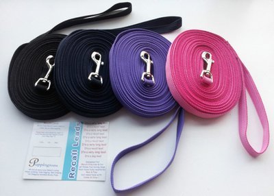 Long Leads for Training and Recall. (10 metres) PURPLE 19mm