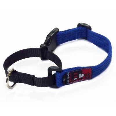 BlackDog Training Collar BLUE MED