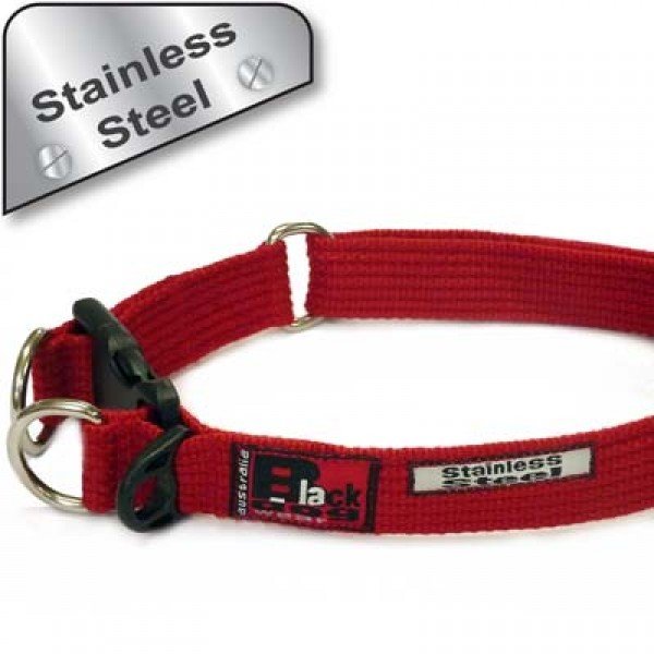 Standard Collar (Super-strong) - Stainless Steel. Adjustable