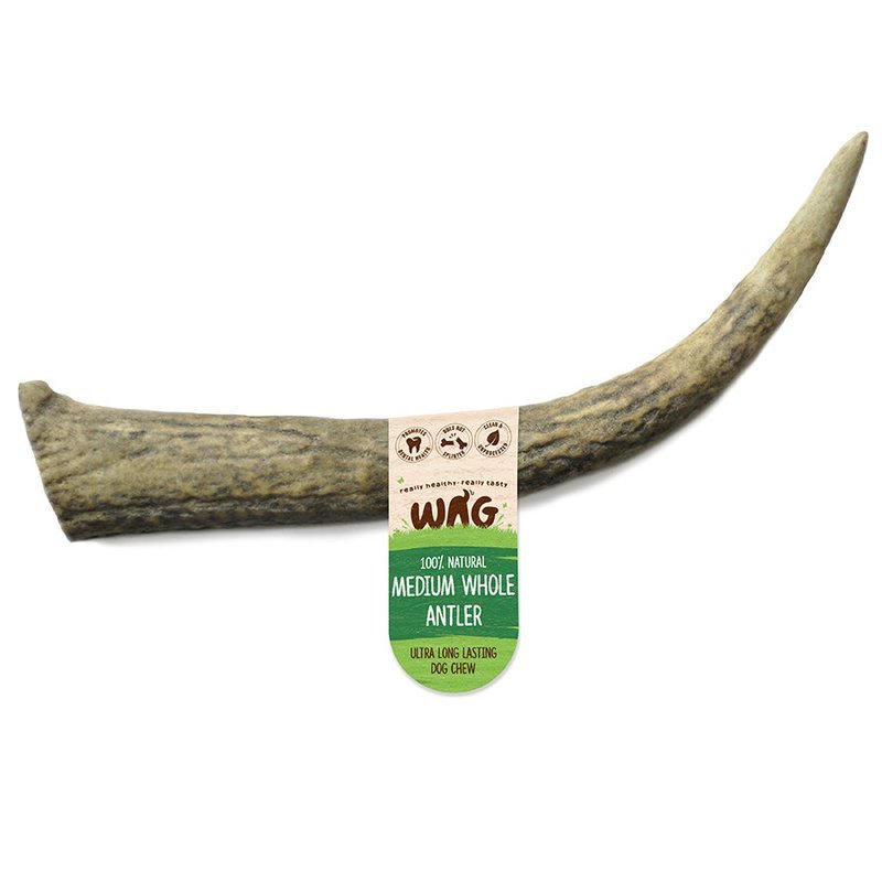 GetWag Whole Antler_Medium