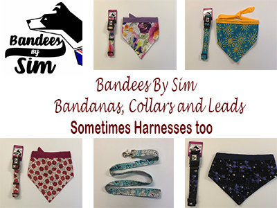 Bandees By Sim: Stylish Bandanas, Collars and Leads