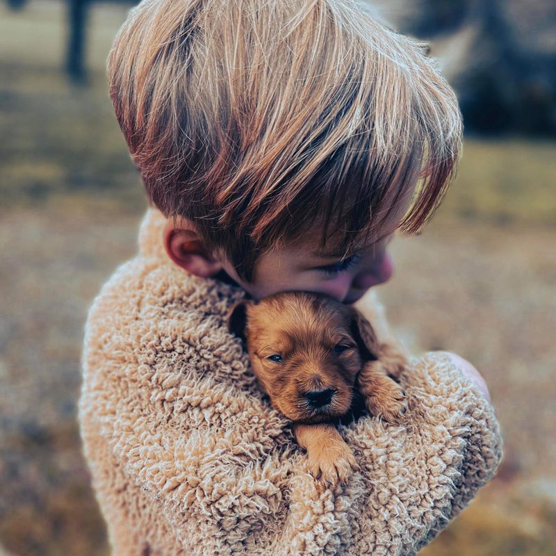 The Basics Puppy Kit