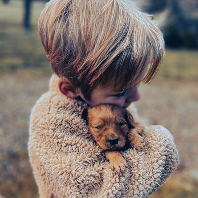 The Basics Puppy Kit