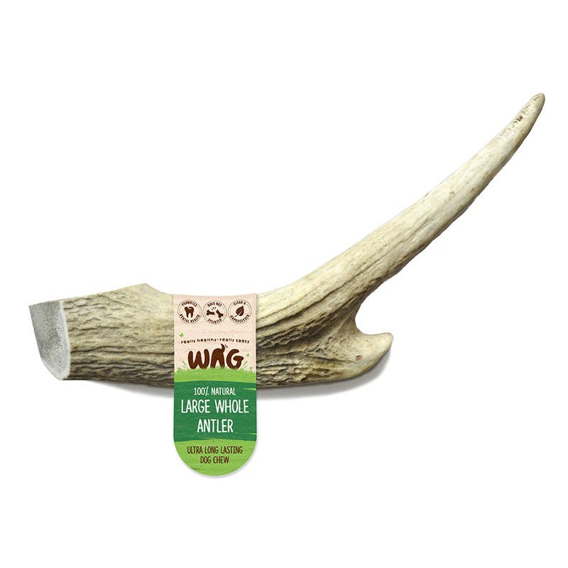 GetWag Whole Antler_Large