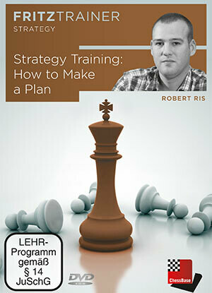 Strategy Training: How to Make a Plan  
by  Robert Ris