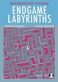 Endgame Labyrinths by Jacob Aagaard and Steffen Nielsen (Hardcover)