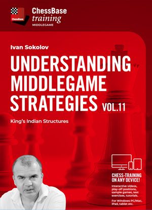 Understanding Middlegame Strategies Vol.11 - King&#39;s Indian Structures by  Ivan Sokolov