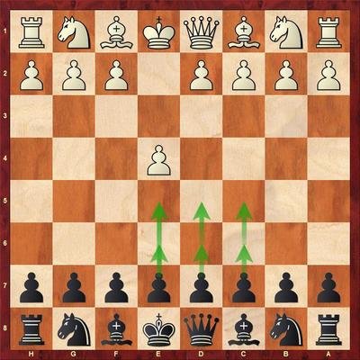 Against 1.e4 with black