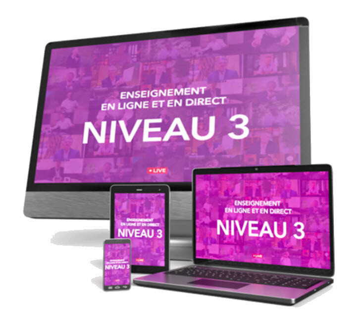 Enseignement N3 / Classe N3-1 / 23 jan + 30 jan + 6 fev (16h à 18h) Enseignement N3 / Classe N3-1 / 23 jan + 30 jan + 6 fev (16h à 18h)