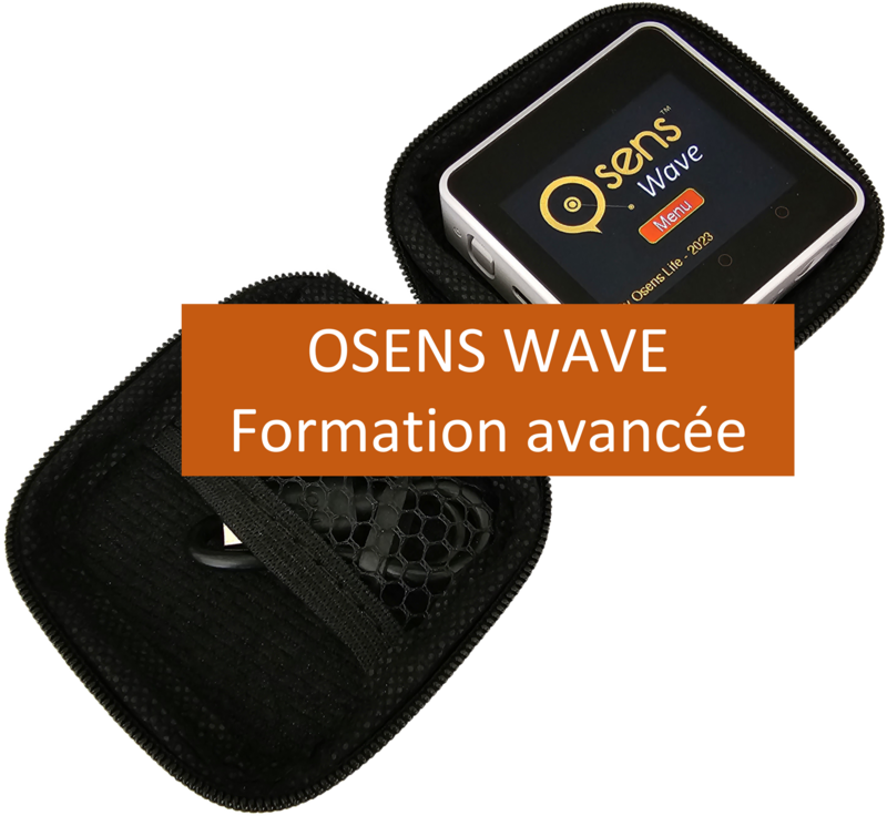 Formation avancée (lien vers vidéo)