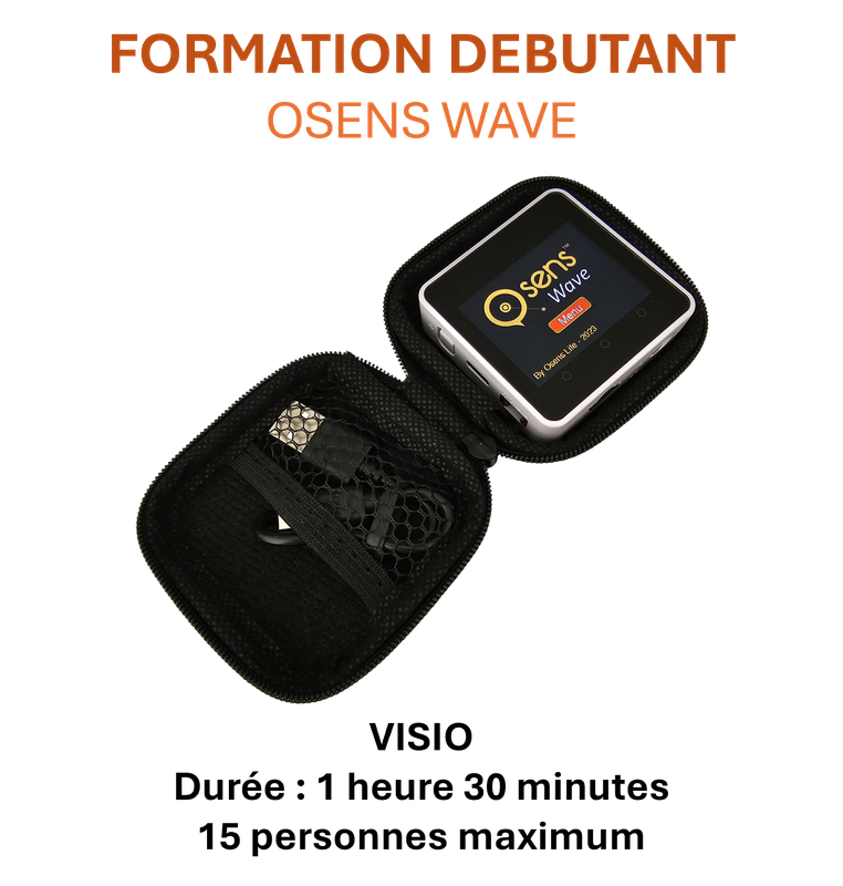Formation débutant V5 - le 21 juillet 18h (Visio en direct)