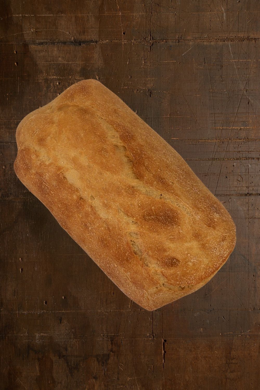 Ciabatta