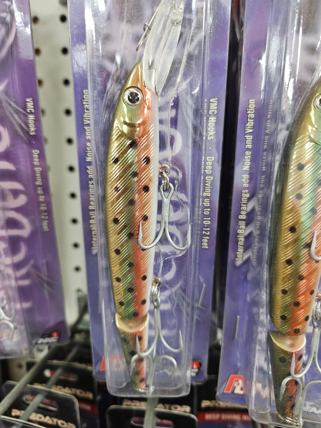 P-line predator trout