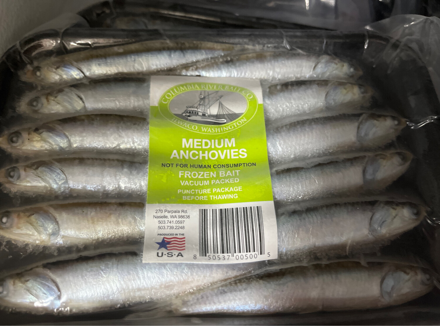 Anchovies, Light Green Tray Med