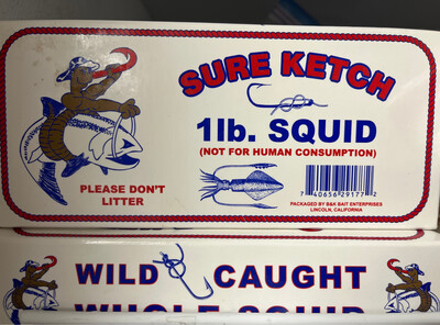 Sure Catch Squid