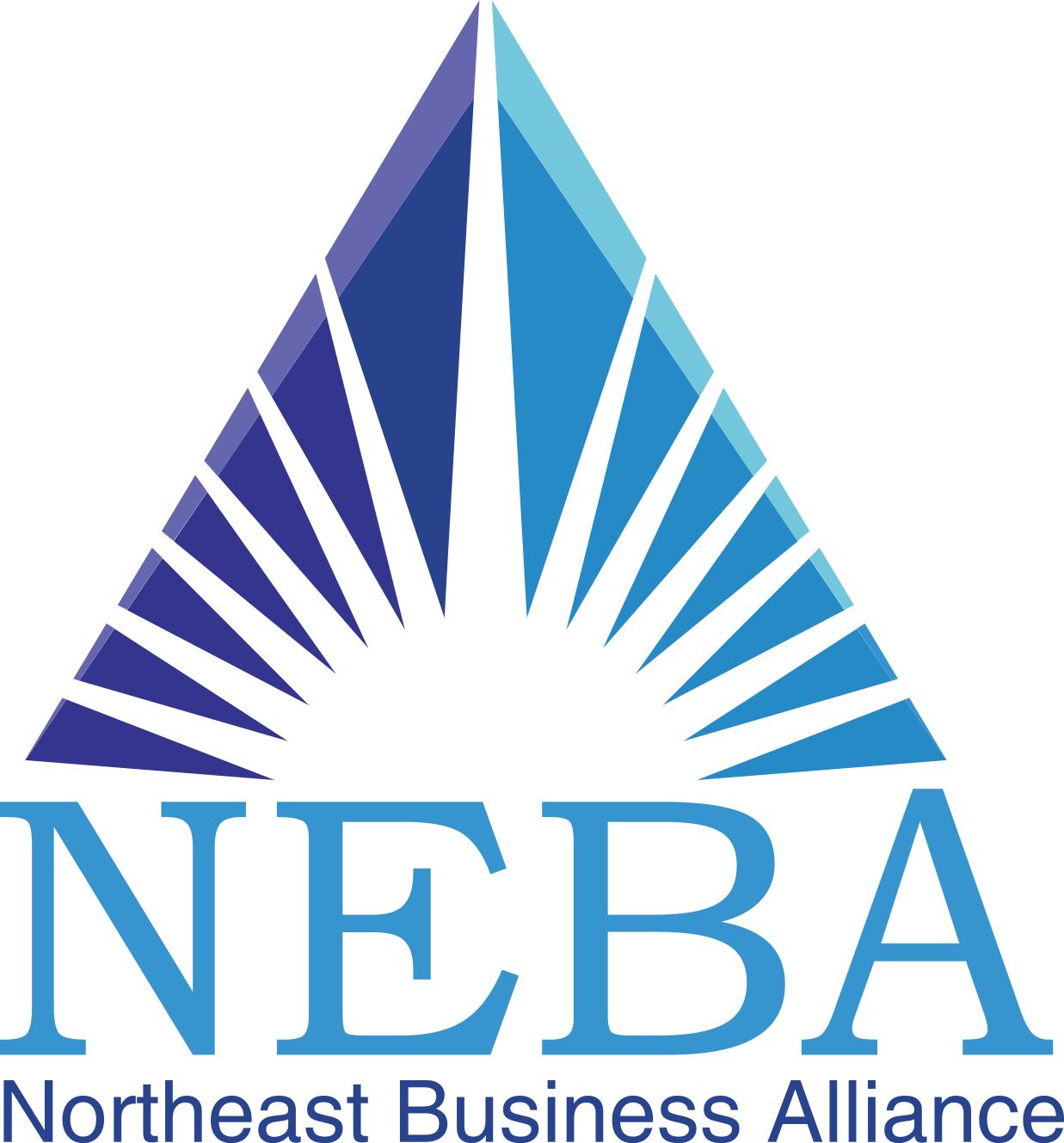 2025 NEBA Single Player Entry