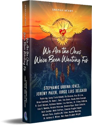 Book - We Are the Ones We&#39;ve Been Waiting For