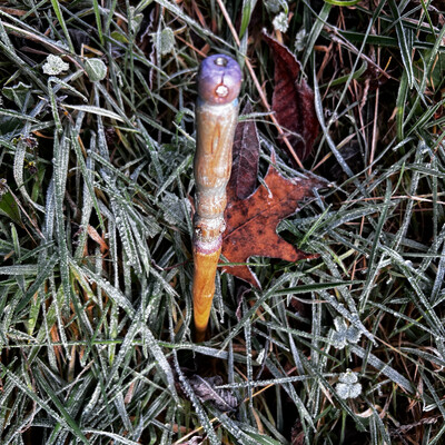 Ice elemental wand