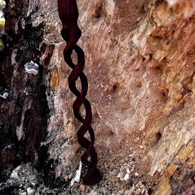 Vortex Wand