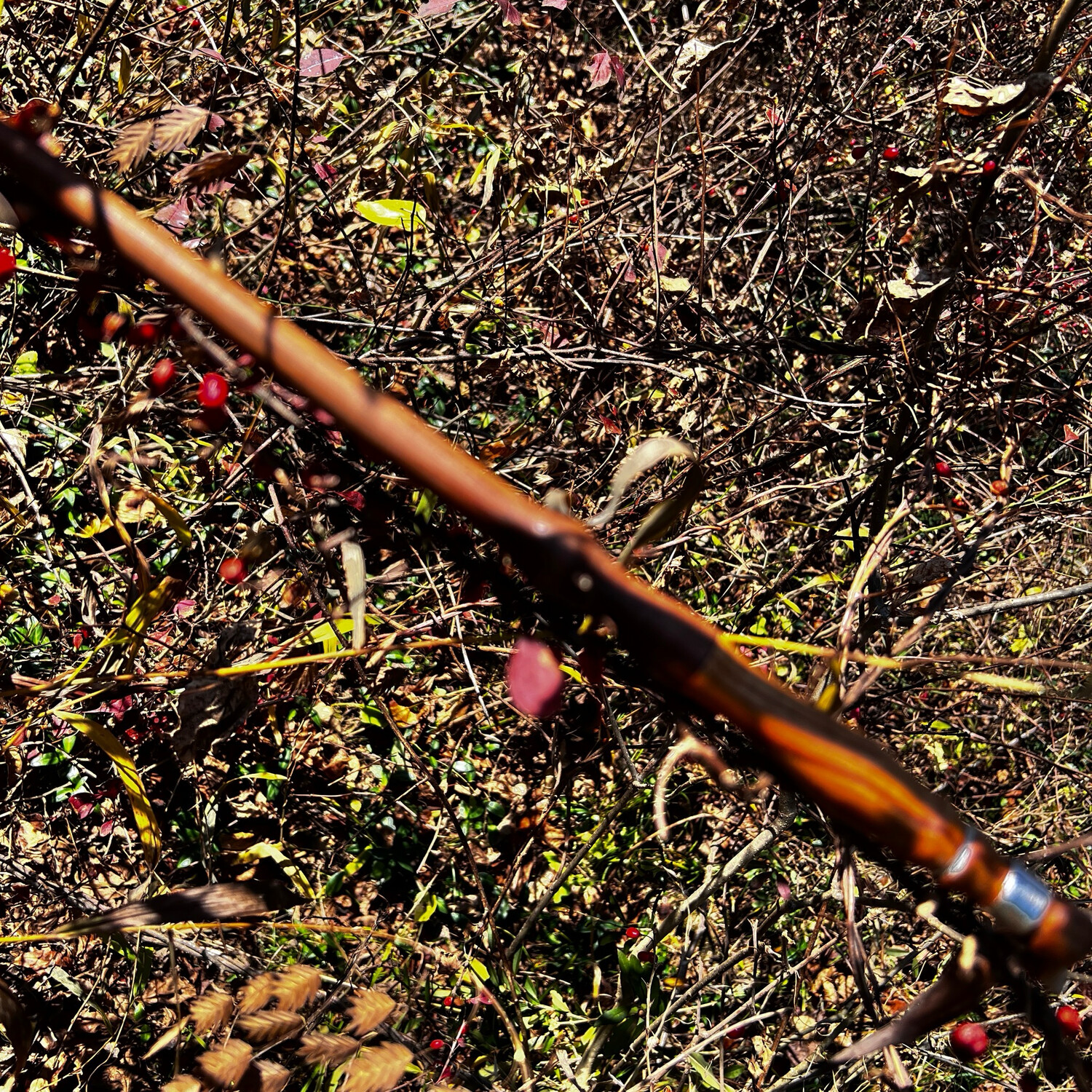 Canarywood &amp; W.Va. Black Walnut wand, 12&quot;