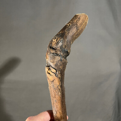 Rustic walking stick