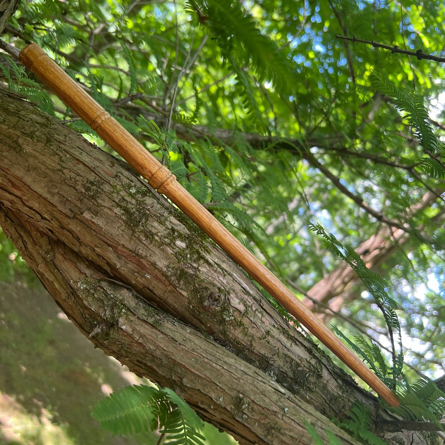 Canarywood Wand