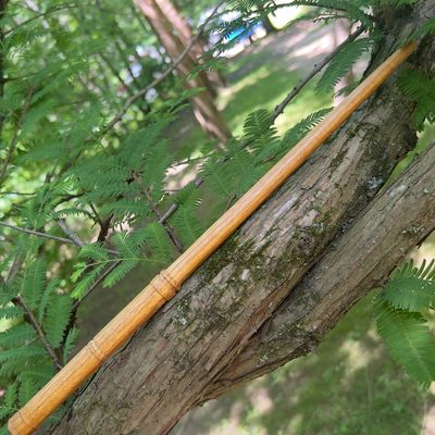 Canarywood Wand