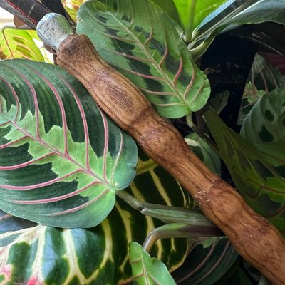 Everyday Elm Wand