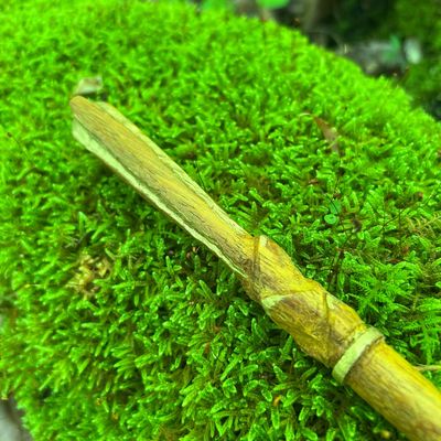 Angelim Wand