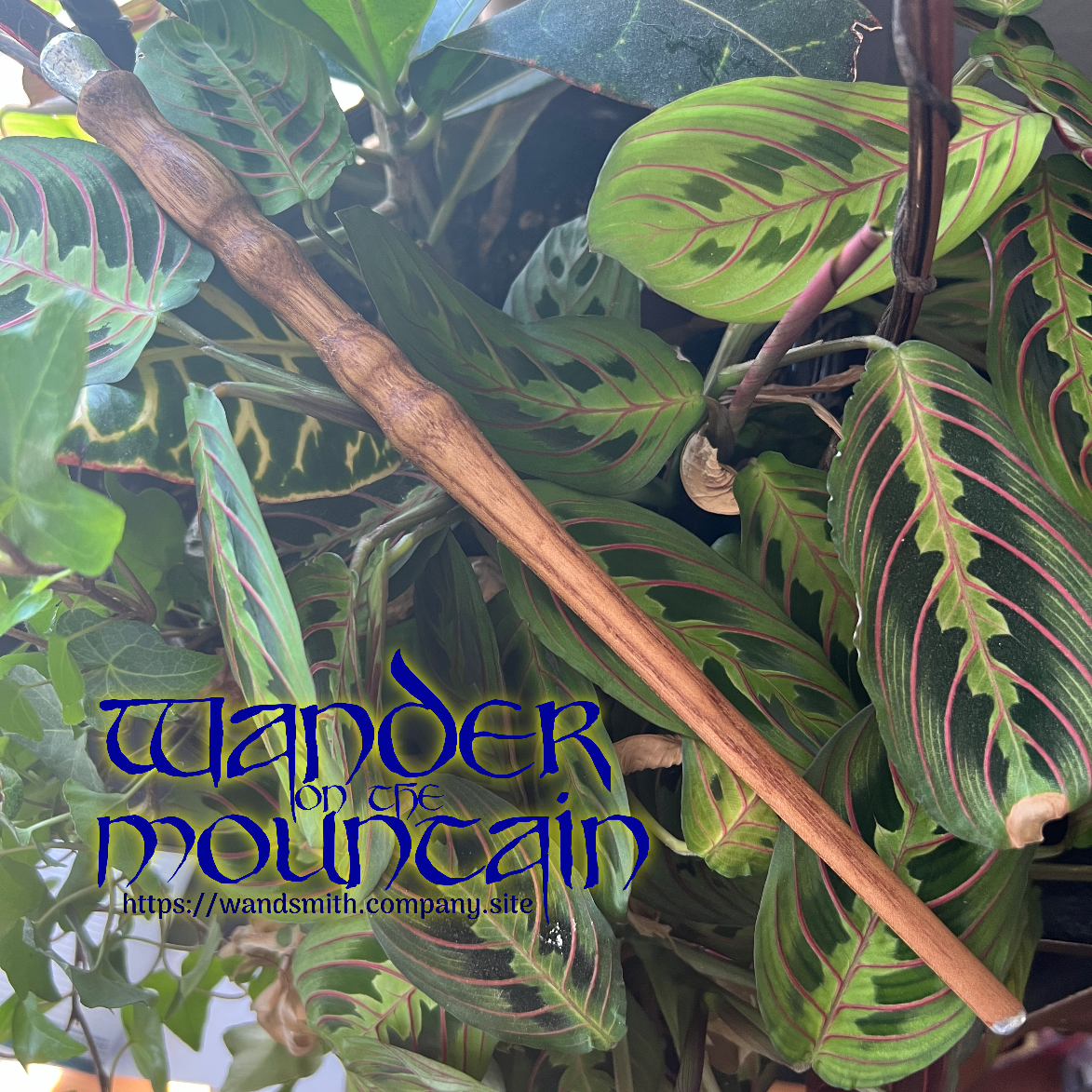 Everyday Elm Wand