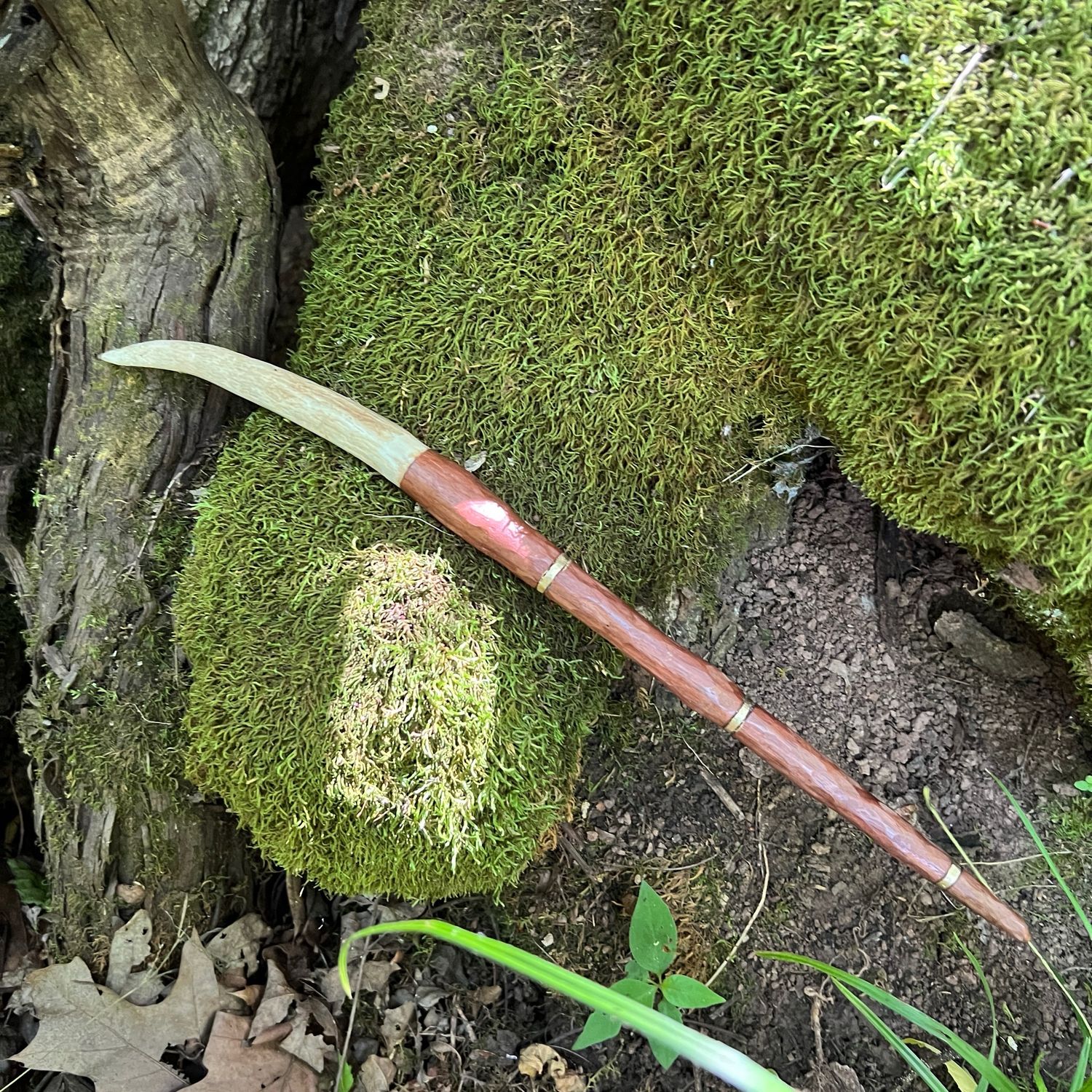 Staghorn &amp; Black Walnut Wand