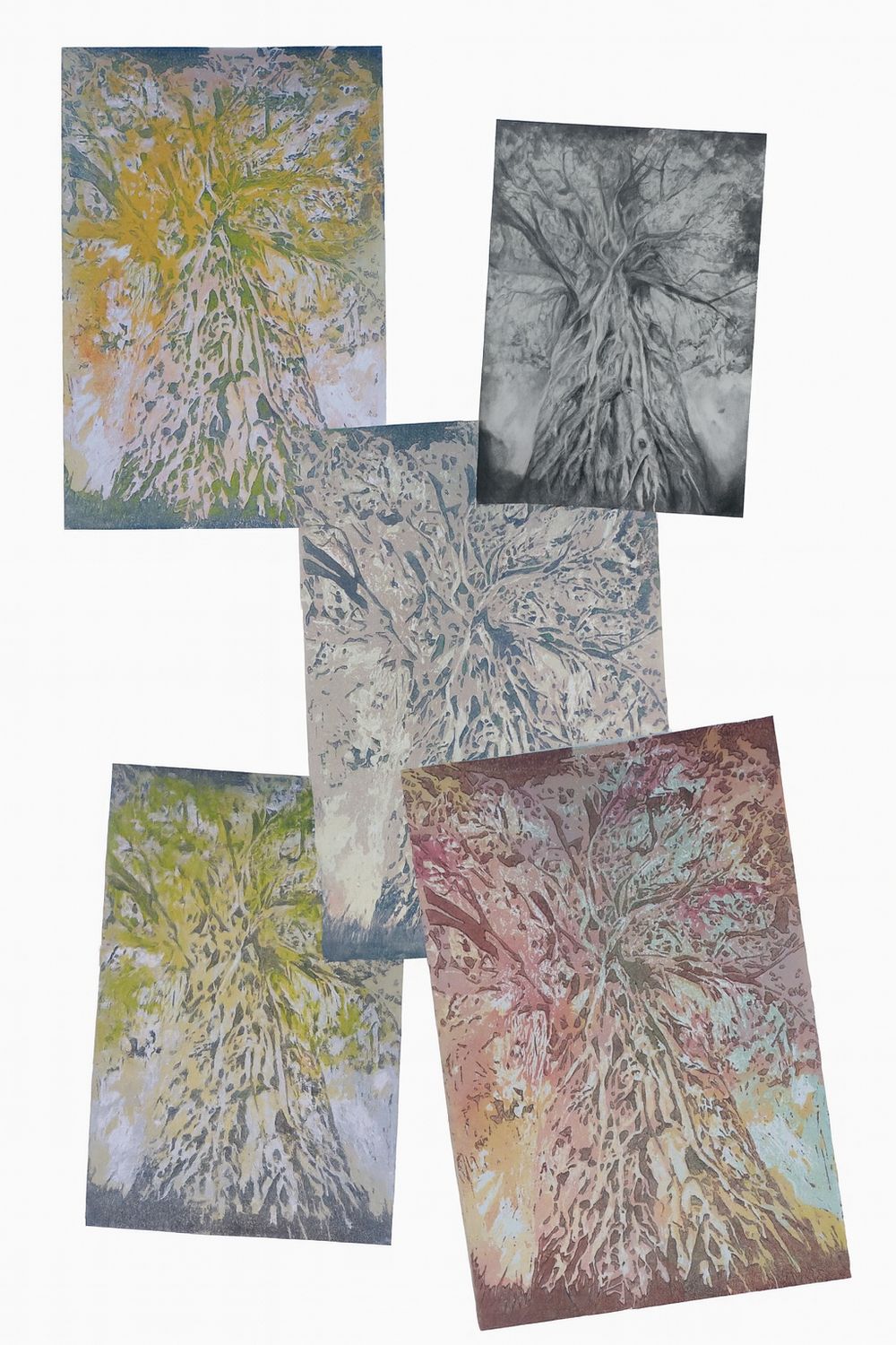 Ansichtkaarten, 5 stuks: &quot;Bomen&quot;