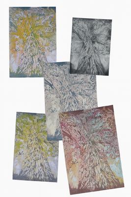 Ansichtkaarten, 5 stuks: &quot;Bomen&quot;