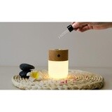 Gingko Smart Diffuser valaisin &amp; tuoksu, vaalea saarni