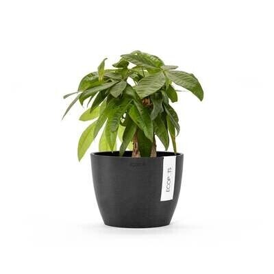ECOPOTS KUKKARUUKUT