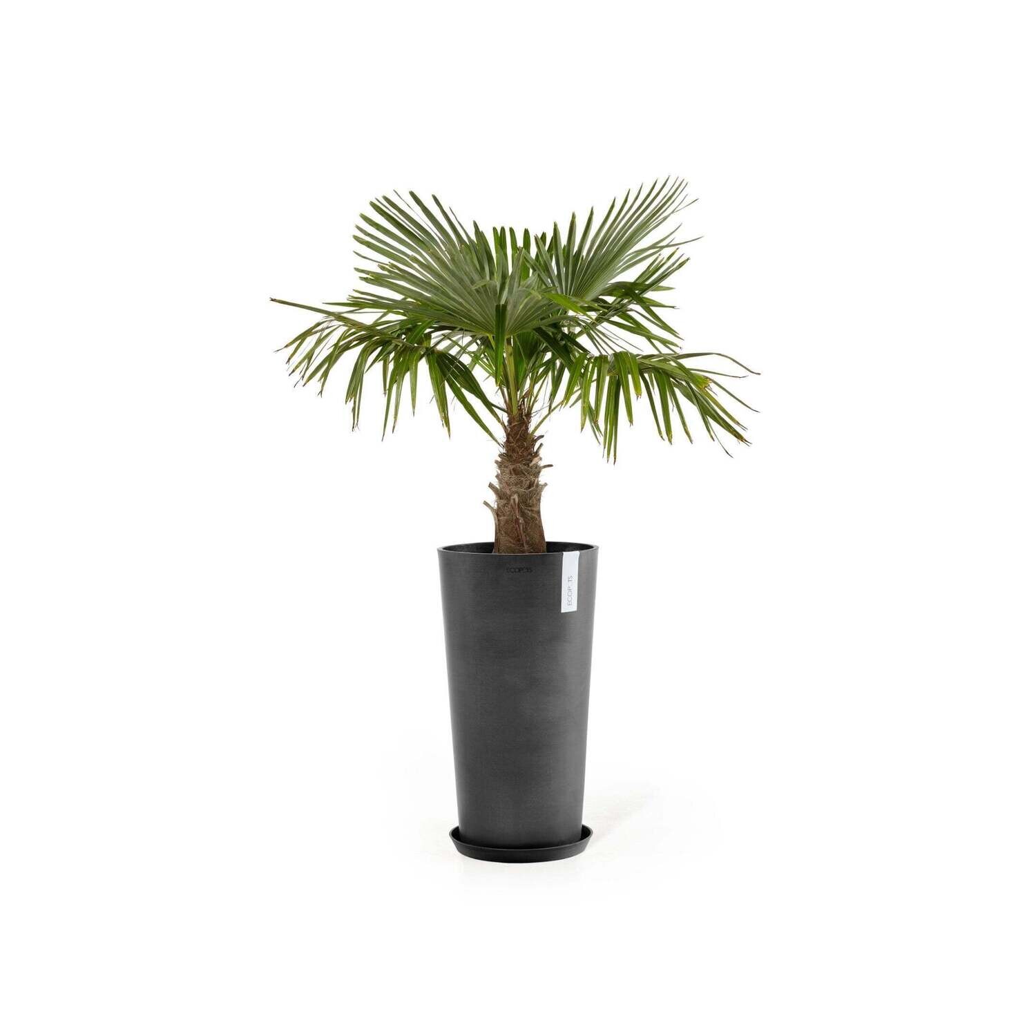 Kukkaruukku Amsterdam keskikorkea 66cm tummanharmaa